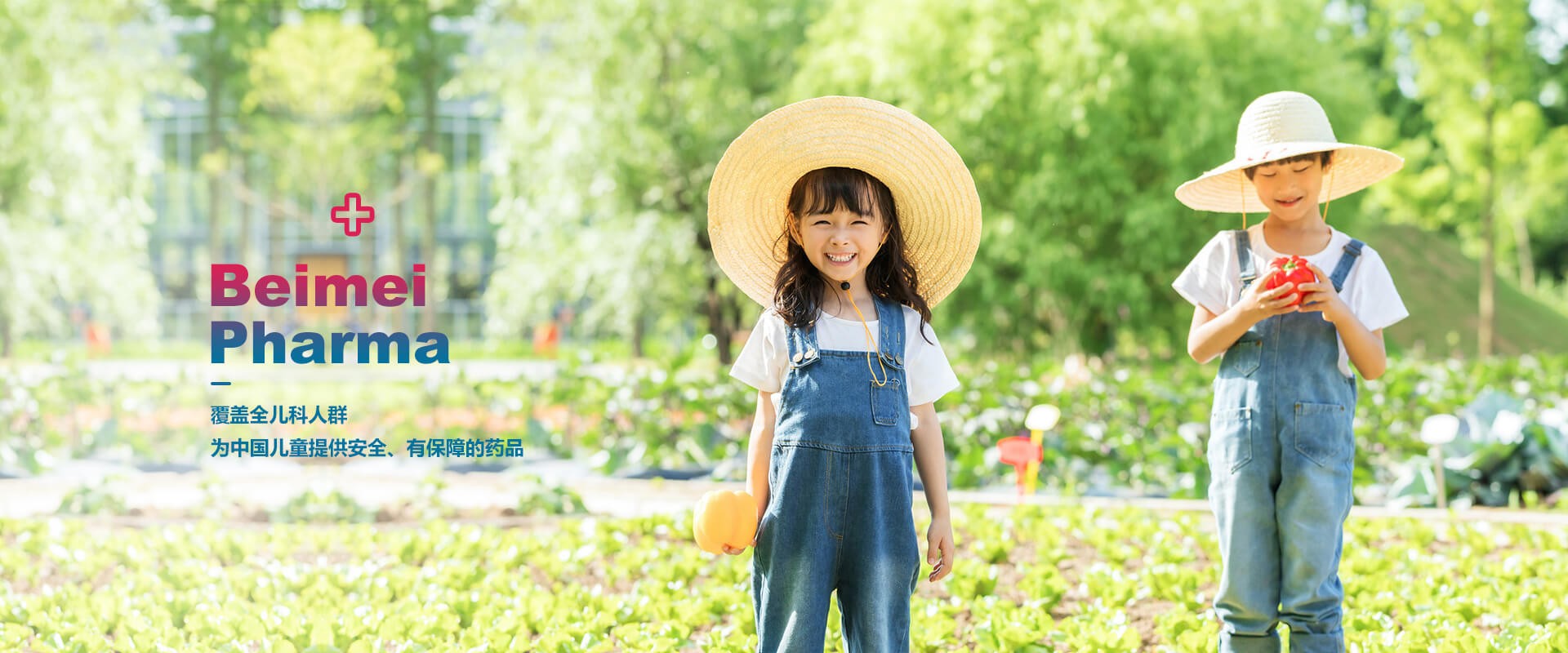 2022年11月J9集团国际站药业自主研发的又一个品种，获得生产许可B证！